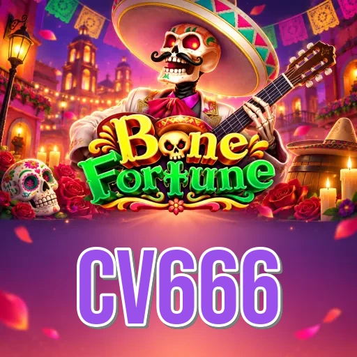 How to Update cv666